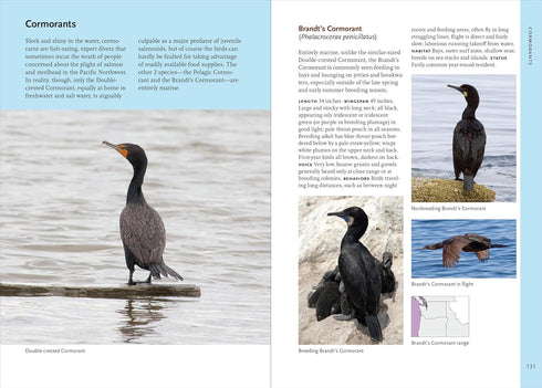 BIRDS OF THE PACIFIC NORTHWEST - SHEWEY. JOHN